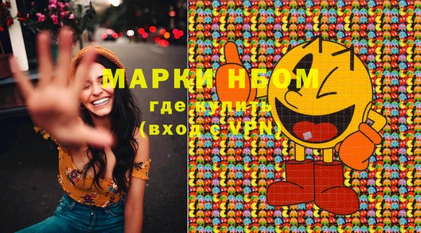 ПСИЛОЦИБИНОВЫЕ ГРИБЫ Алексин