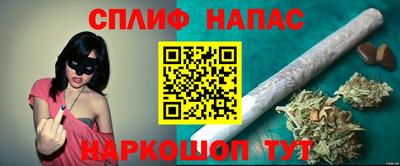трава Новозыбков