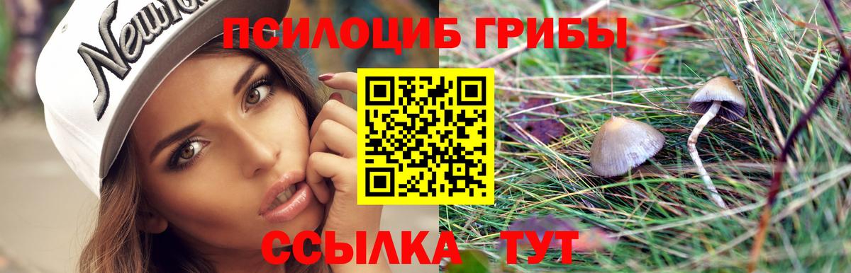 Чебоксары  Галлюциногенные грибы GOLDEN TEACHER  Вход с VPN 